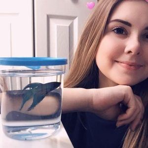 Meet your Posher, Avery